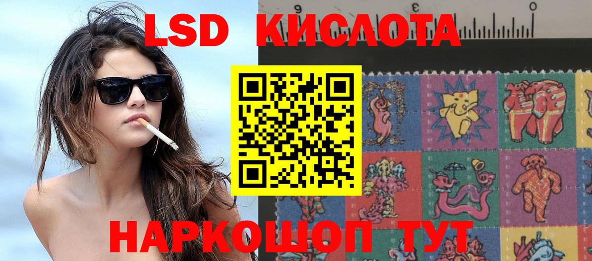 COCAIN Ижевск