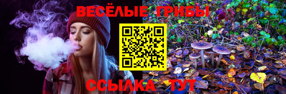 Псилоцибиновые грибы мицелий  Вход с VPN  дарнет шоп  Ижевск 