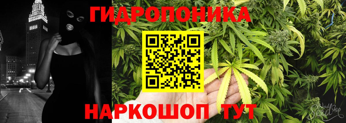 МАРИХУАНА сатива  Бошки марихуана индика  Вход с VPN  Ижевск  Бошки Шишки семена  Канабис White Widow 